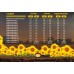 Powder Feeding Long Flowering 0,5 kg